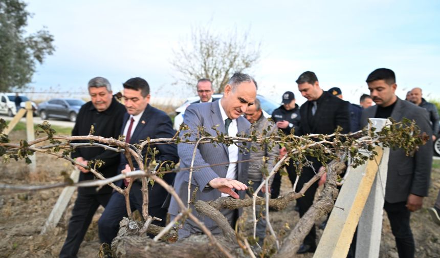 Manisa Valisi Özkan, doğal afetin yaşandığı bağlara girdi