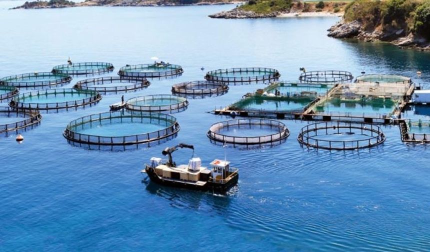 Mersin'de balık çiftliklerine karşı eylem yapan yurttaşlar: Mesleki etik çerçevesinde karar vermenizi istiyoruz