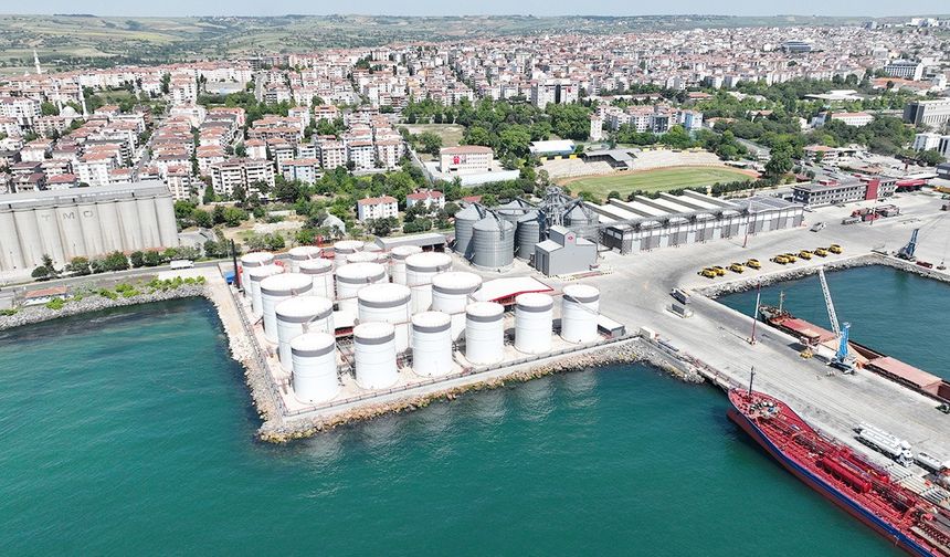 Mahkeme kararlarına uymayan Ceyport Limanı’nın ruhsatsız faaliyet gösterdiği belirlendi