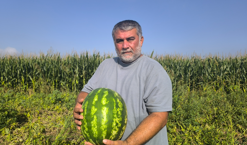 Yaklaşık 25 yıldır çiftçilik yapan vatandaş: Ürünüm tarlada kaldı