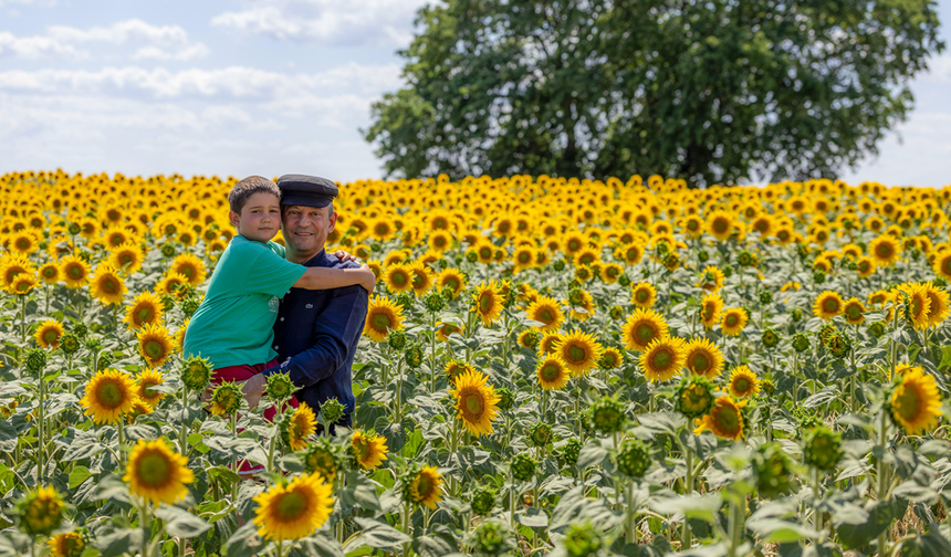 CHP Genel Başkanı Özgür Özel Tekirdağ’da çiftçilerle buğday hasadı yaptı