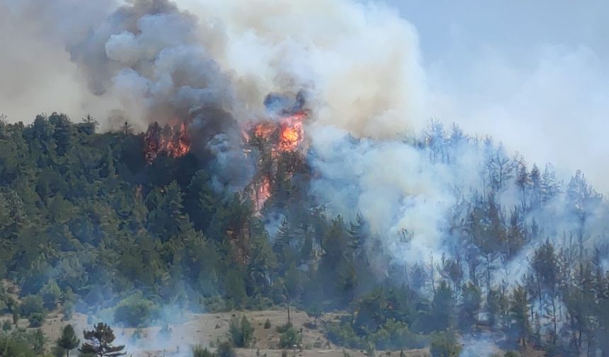 Bilecik'te çıkan orman yangınına müdahale ediliyor