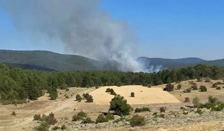 Eskişehir'de ormanlık alanda yangın çıktı