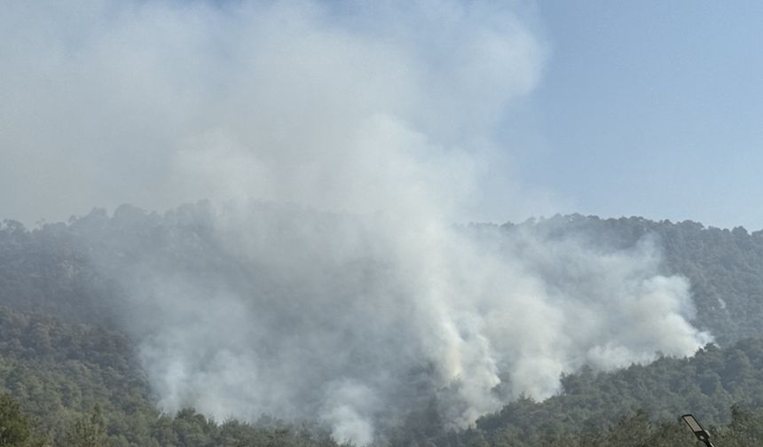 Sakarya'dan Bilecik tarafına sıçrayan orman yangınına 3. gününde müdahale sürüyor