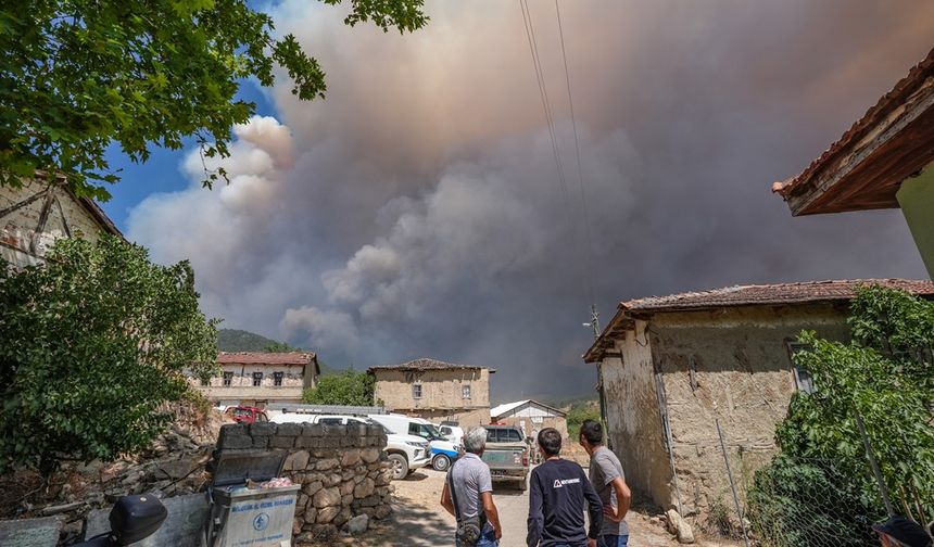 Bilecik'te çiftlikte başlayıp ormanlık alana sıçrayan yangın kontrol altına alındı