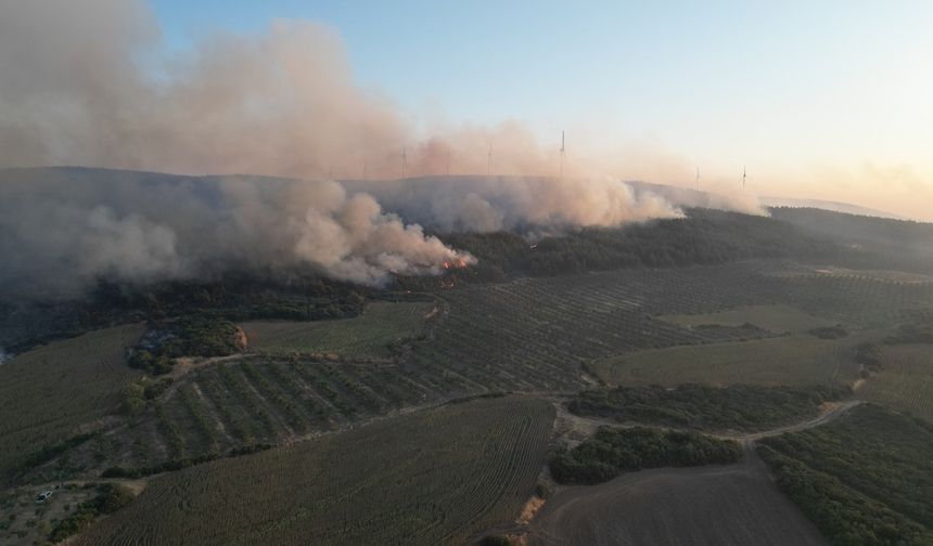 Tekirdağ'daki orman yangınına havadan müdahale yeniden başladı