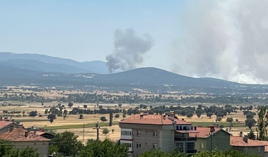 Uşak'ta meşelik alanda çıkan yangına müdahale ediliyor