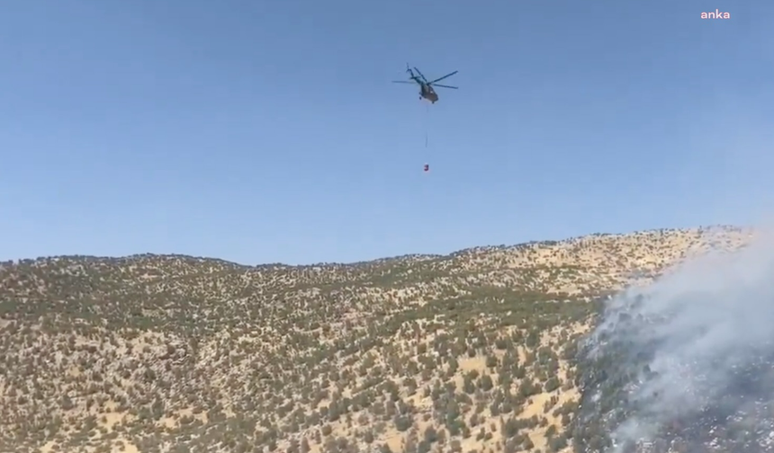 Şırnak'taki orman yangını kontrol altına alındı