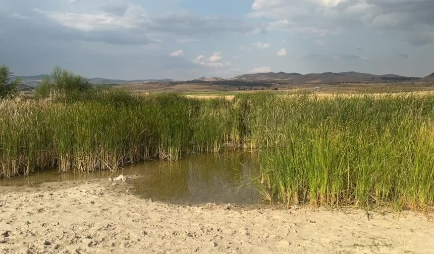 Afyonkarahisar'da serinlemek için gölete giren iki çocuk boğuldu