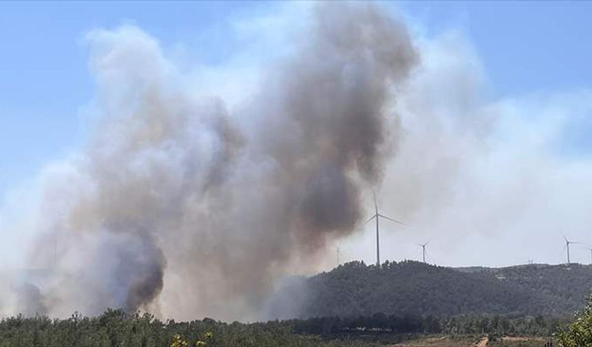 Çanakkale'de yine orman yangını: Kaz dağları tehdit altında
