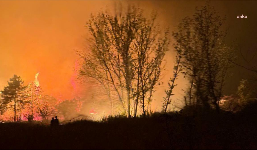 Edirne Valisi Sezer'den Enez yangını açıklaması: Müdahale sürüyor