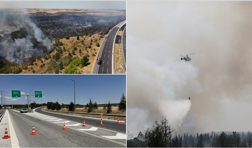 Kırklareli'nde ağaçlık alanda çıkan yangın söndürüldü