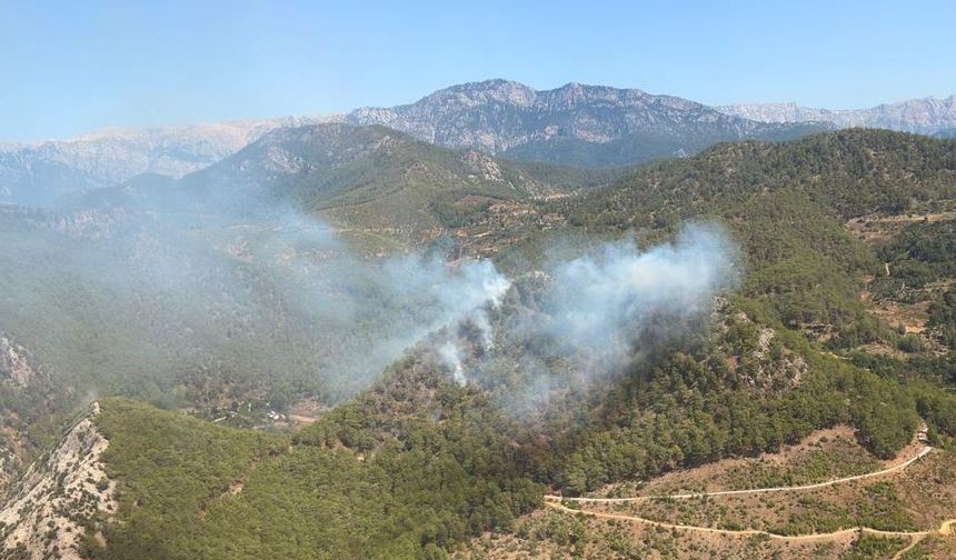 Silifke'deki orman yangınıyla ilgili 4 kişi tutuklandı