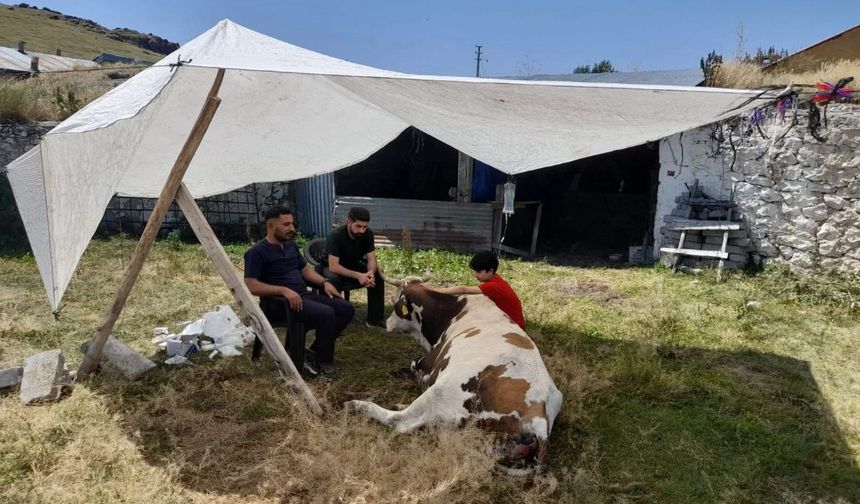 CHP’li İnan Alp: Kars yıkılıyor, bu sesi duymanız için daha ne yapmalıyız?
