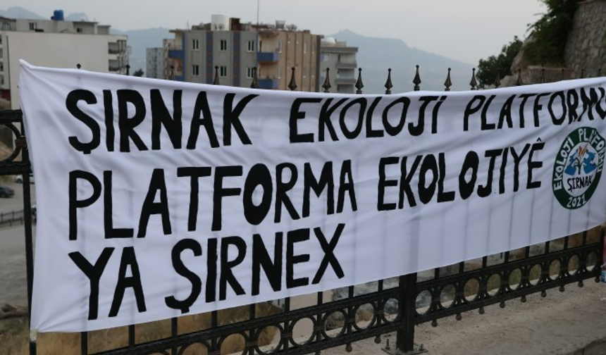 Şırnak Ekoloji Platformu: Şırnak Valiliği'nin "Ağaç kesimi durduruldu" sözü yeterli değil, resmi sayfalarda paylaşın