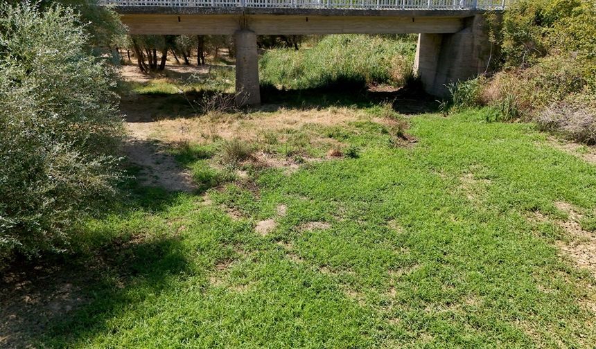 Kırklareli'nde aşırı sıcaklar Teke Deresi kuruttu