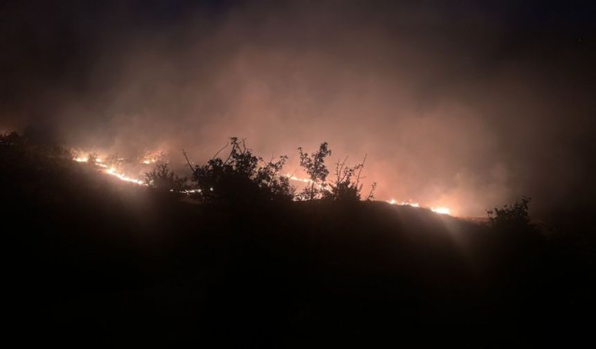 Diyarbakır ve Dersim’de orman yangını
