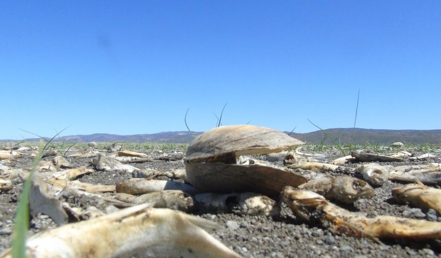 Tahtaköprü Barajı'nda kuraklık tehlikesi: Su seviyesi yüzde 30'a geriledi