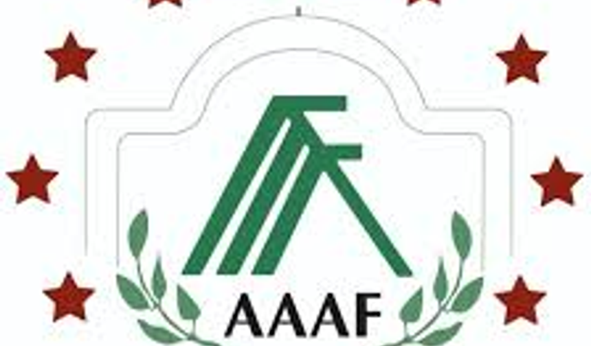 Avrupa Arap Alevileri Federasyonu'ndan El Cezire'ye tepki: Video nefret suçu içeriyor
