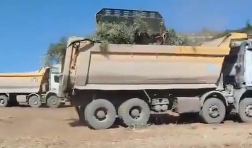 Akbelen'de kamulaştırma kararına  yurttaşlardan tepki: Topraklarımızı terk etmeyeceğiz