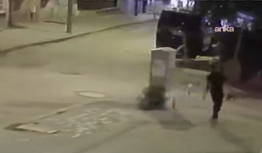 Aksaray'da yavru kediye işkence