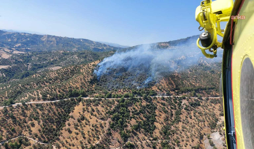 Aydın'da çıkan yangın kontrol altına alındı