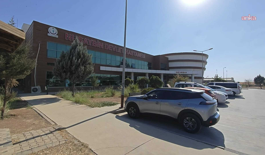 Nusaybin'de 'ikiz bebek' iddiası: Bir bebek kayıp mı?