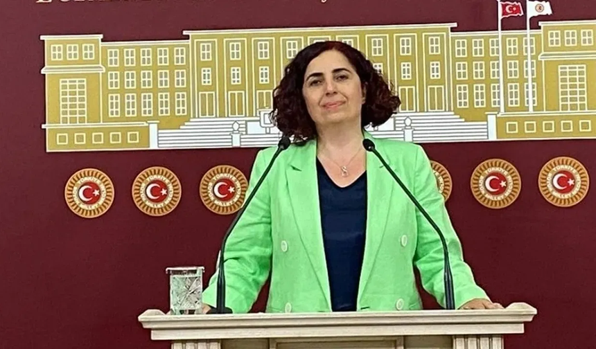 Sevilay Çelenk'ten Kızılcık Şerbeti senaristinin gözaltına alınmasına tepki