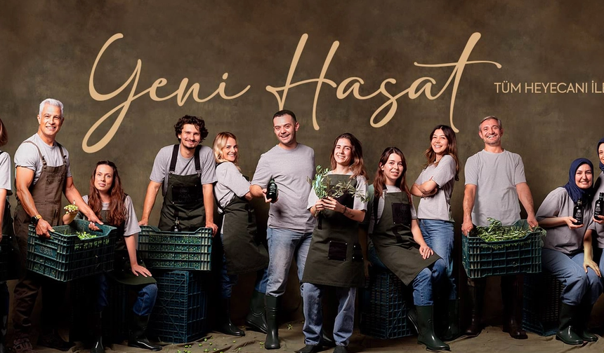 ZEYTİNDE YENİ HASAT HEYECANI BAŞLADI!