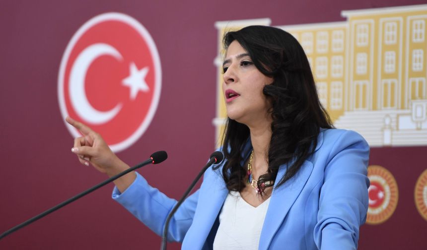 Sevda Karaca: Paketi açınca içinden borç ve geleceksizlik çıkıyor