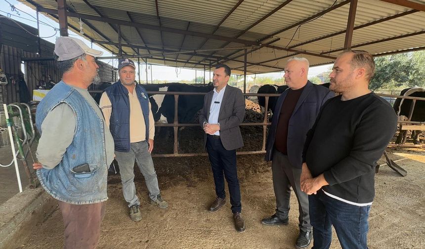 Hayvancılığı bırakma noktasına gelen besiciler, CHP’li Başevirgen’e girdi maliyetlerinden dert yandı