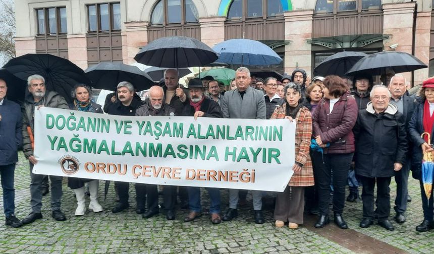 Ordu Çevre Derneği, eski çöp alanındaki inşaatı protesto ediyor: Kuş cenneti yok ediliyor