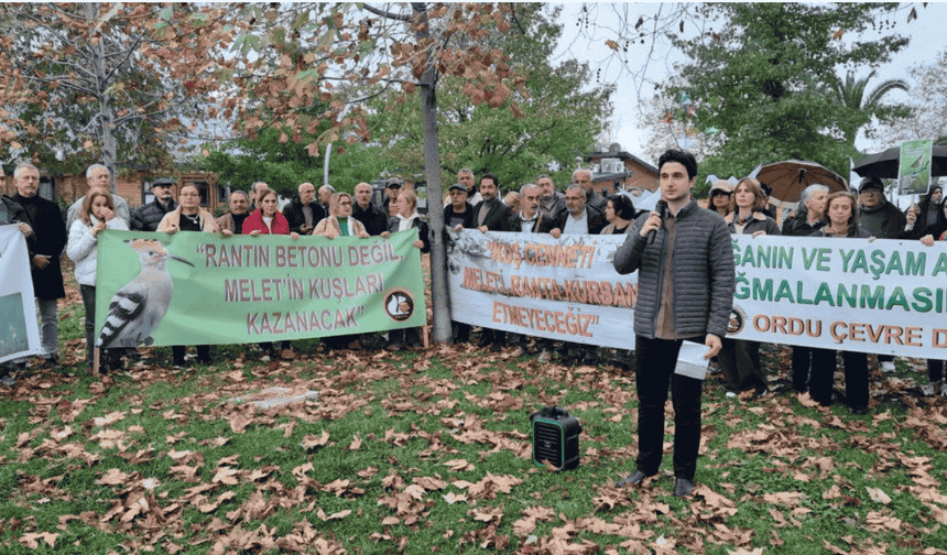 Ordu'da yeşil alan mücadelesi devam ediyor