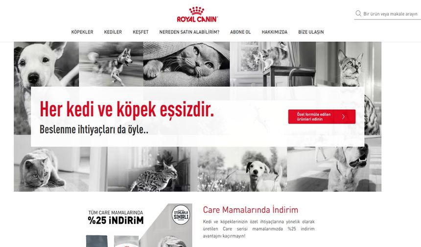 Köpeklerde Tırnak Kesimi: Adım Adım Güvenli Kesim Rehberi