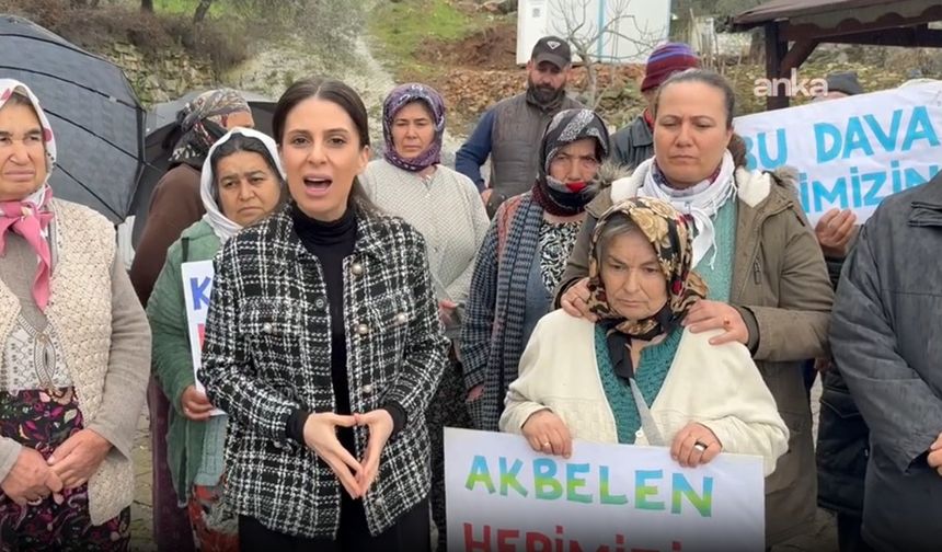 CHP'li Özcan'dab Akbelen'de "acele kamulaştırma" kararına tepki