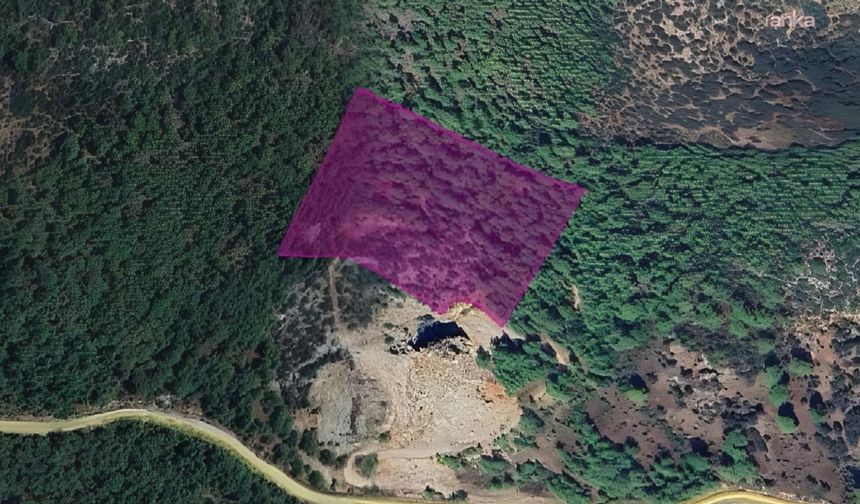 DSİ'den Muğla'da ormanlık alana maden ocağı projesi