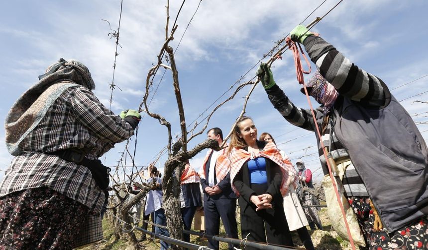 CHP'li Başkan Özalper: Üretimin devamı için düzenlemeyi geri çekin