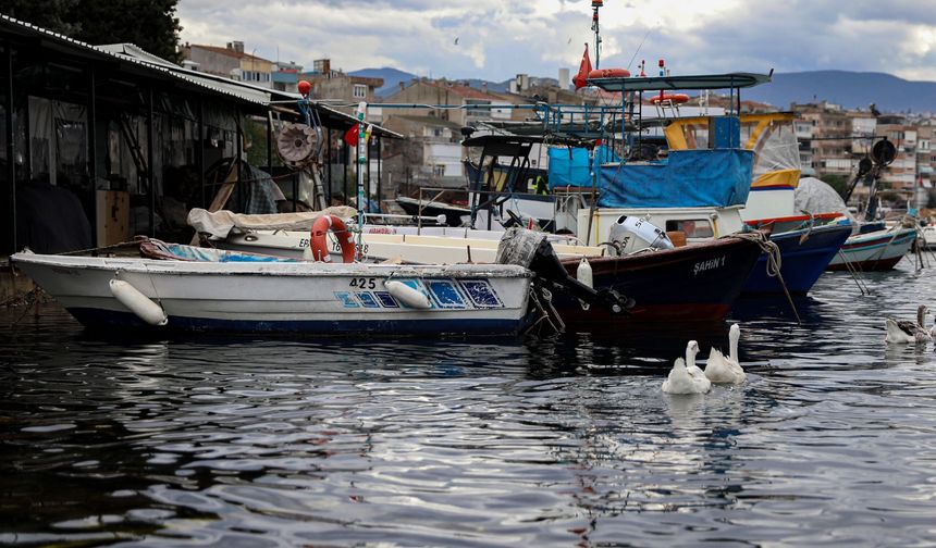 Bursa'da balıkçılara yüzde 100 hibeli mazot desteği: Balık sizden, mazot bizden