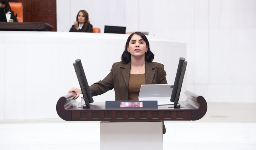 DEM Partili Aslan'dan "Cizre Bodrumları" için Meclis Araştırması talebi