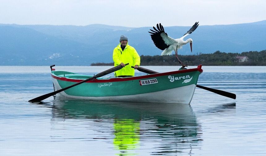 Yaren leylek 15'inci kez Karacabey'e döndü