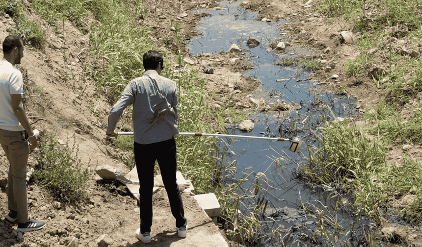 İzmir Körfezi ve tarım toprakları kirliliğin kıskacında