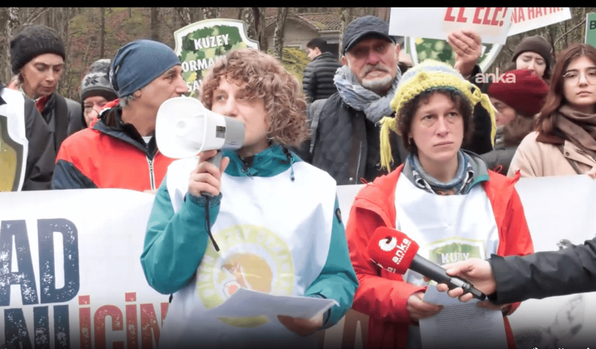 Kuzey Ormanları Savunması’ndan Belgrad Ormanı’nda su günü eylemi: Belgrad’ın suyunu satmak ormanı öldürmek demektir
