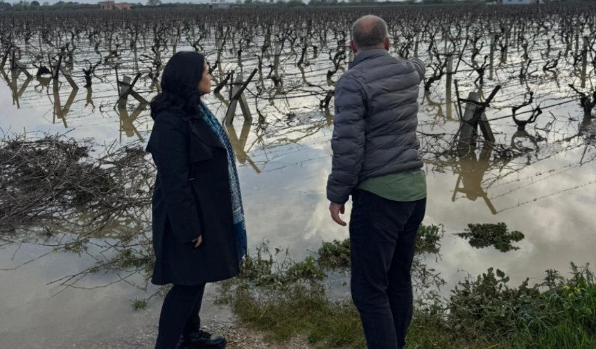 Manisa ovası sele mahkûm: Kadın Başkan Aytaç yerinde tespitte bulundu