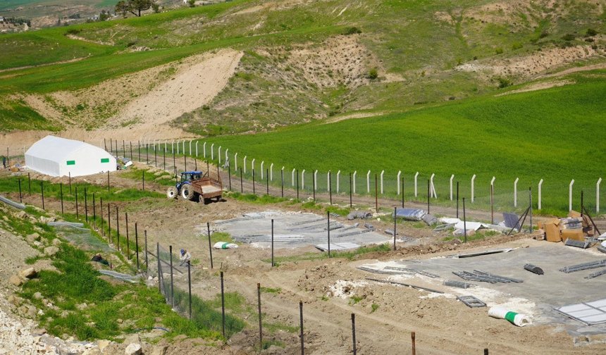 Adıyaman’da belediye eliyle yumurta üretimi başlıyor