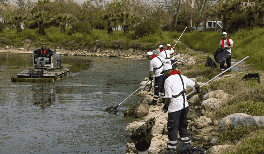 Bilim insanları: Temiz Körfez için Gediz Havzası’nda çözüm aranmalı