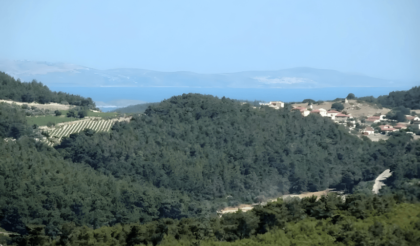 Urla'da 15 hektarlık doğal sit alanı yapılaşmaya açıldı