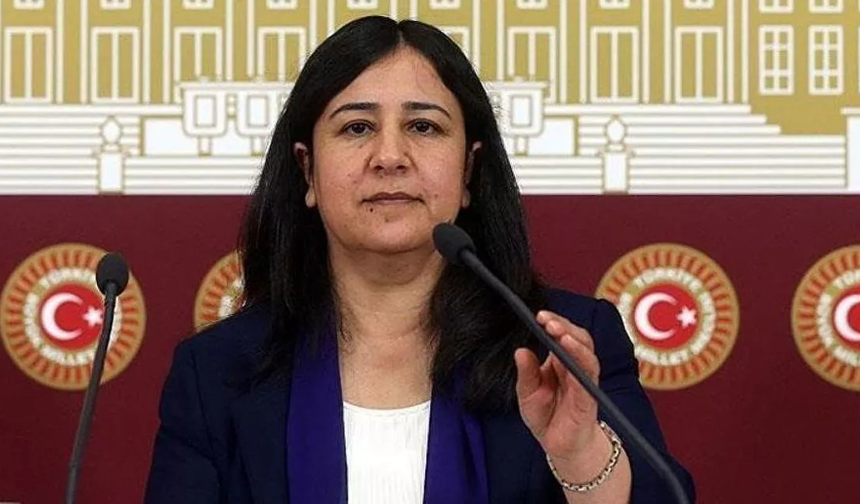 HDP eski Milletvekili Çağlar Demirel açlık grevine başladı