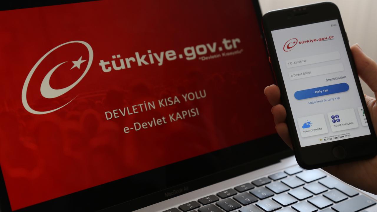 e devlet