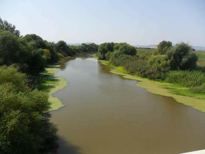 Gediz Nehri