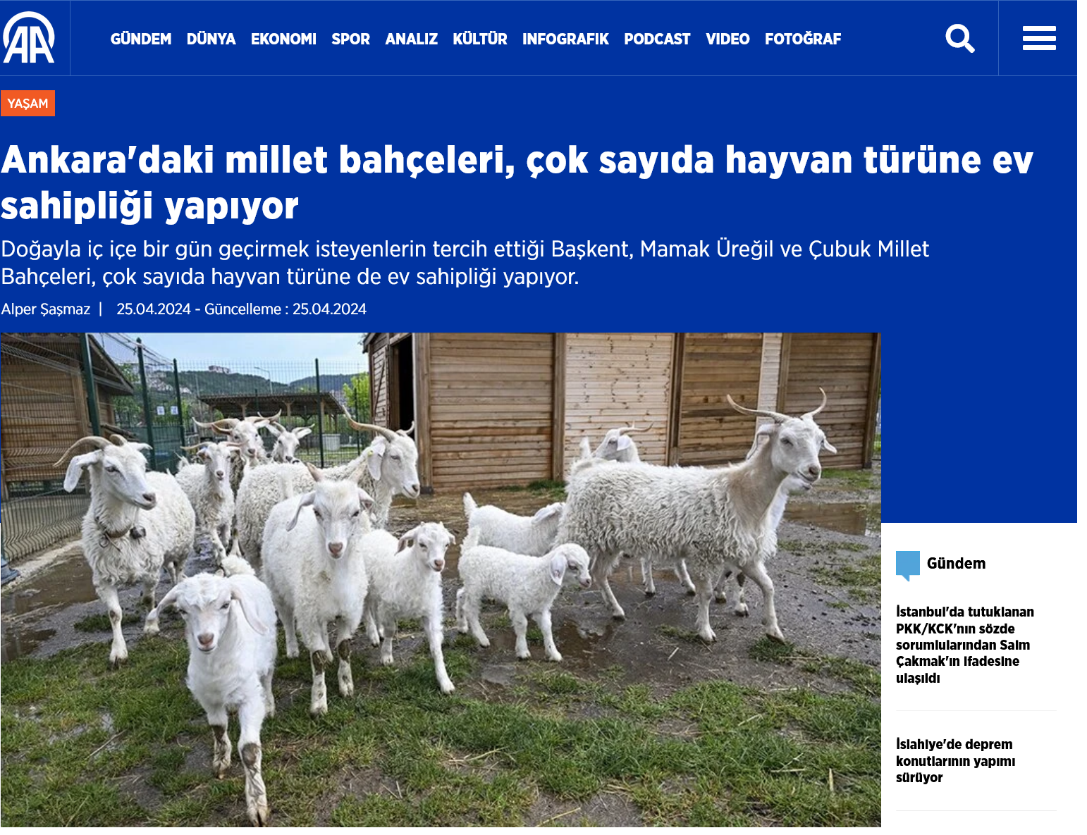 Ankara'daki millet bahçeleri, çok sayıda hayvan türüne ev sahipliği yapıyor  
